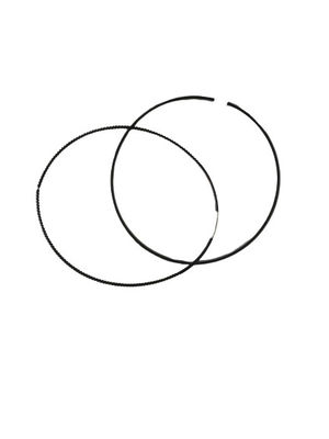 1234268 Cincin Piston Cat